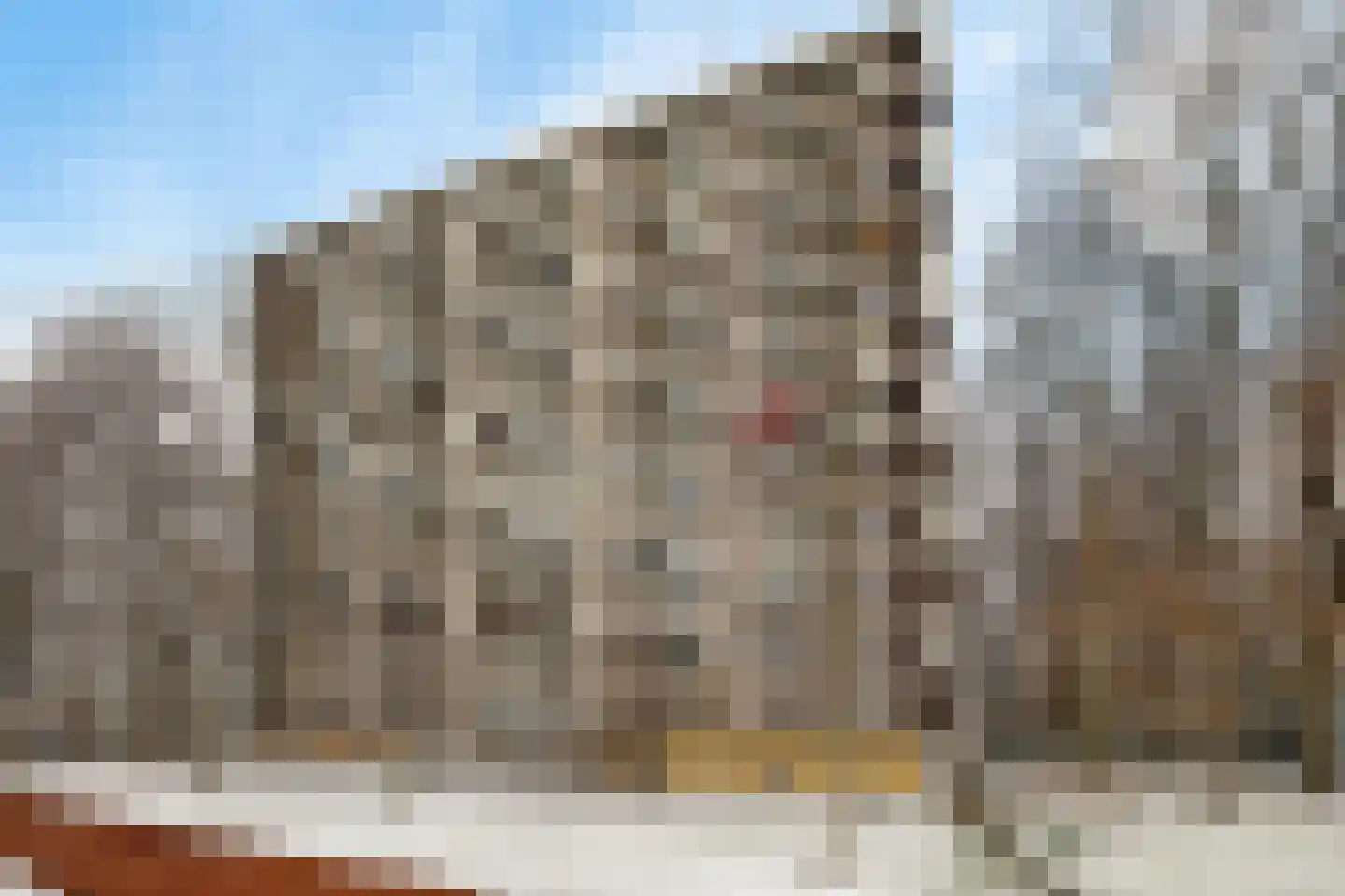 Rachmaninoffplantsoen 23 Utrecht thumbnail 25