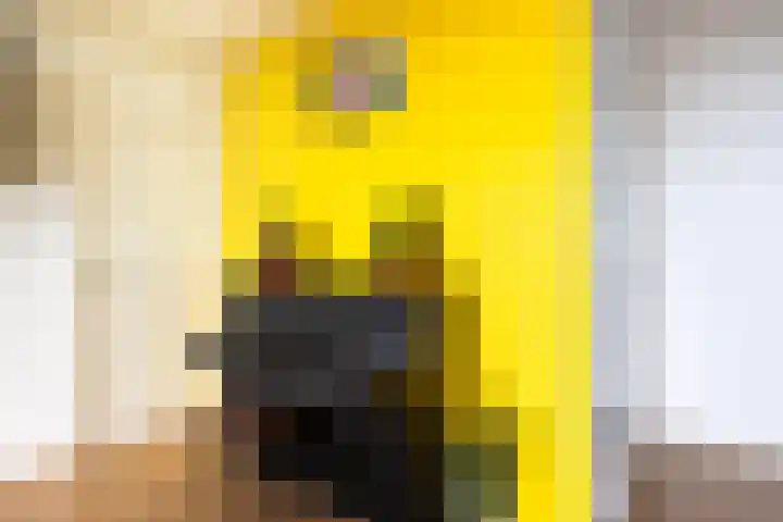 Rachmaninoffplantsoen 32 Utrecht thumbnail 13