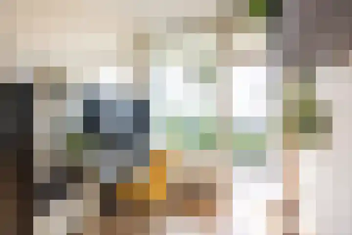 Rachmaninoffplantsoen 32 Utrecht thumbnail 14