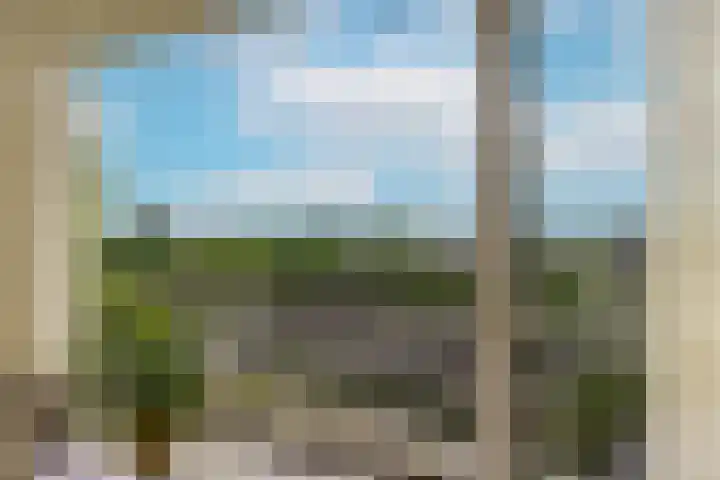 Rachmaninoffplantsoen 32 Utrecht thumbnail 15