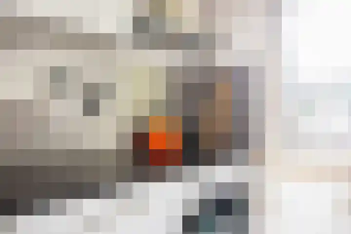 Rachmaninoffplantsoen 32 Utrecht thumbnail 21