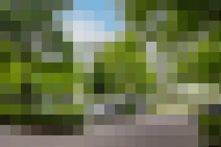 Rachmaninoffplantsoen 32 Utrecht thumbnail 31