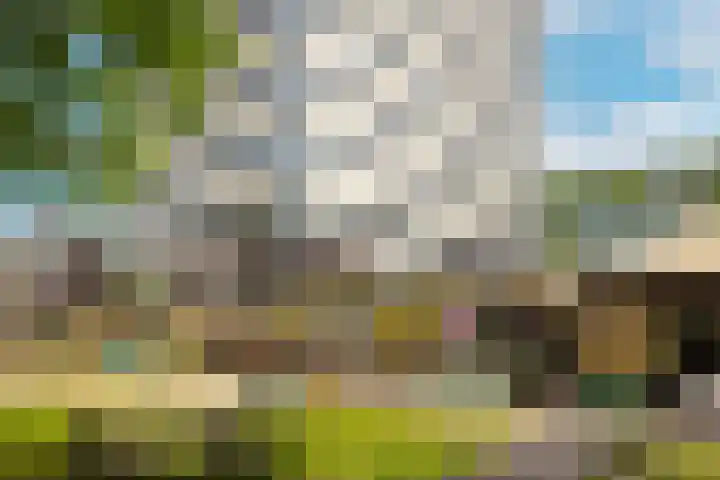 Rachmaninoffplantsoen 32 Utrecht thumbnail 32