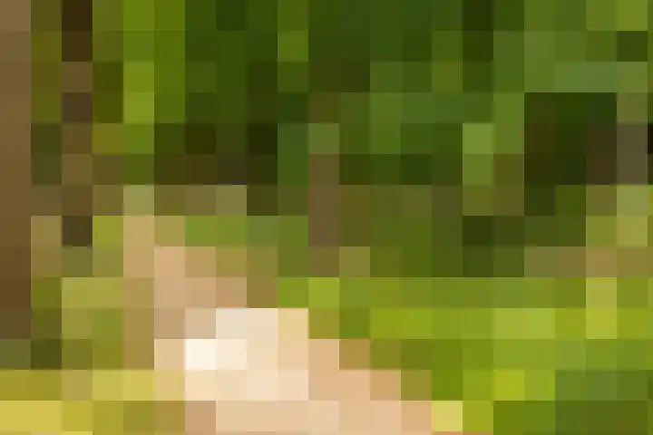 Rachmaninoffplantsoen 32 Utrecht thumbnail 33