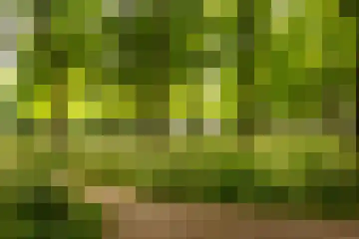 Rachmaninoffplantsoen 32 Utrecht thumbnail 34