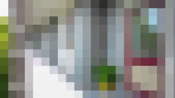 Rachmaninoffplantsoen 32 Utrecht thumbnail 6