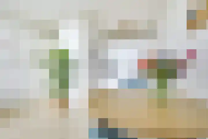 Rachmaninoffplantsoen 33 Utrecht thumbnail 10