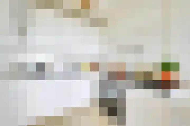 Rachmaninoffplantsoen 33 Utrecht thumbnail 11