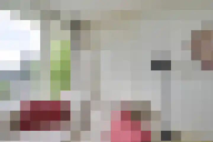 Rachmaninoffplantsoen 33 Utrecht thumbnail 14
