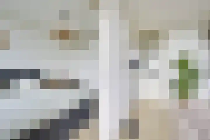 Rachmaninoffplantsoen 33 Utrecht thumbnail 15