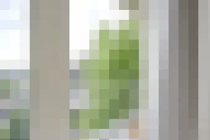 Rachmaninoffplantsoen 33 Utrecht thumbnail 16