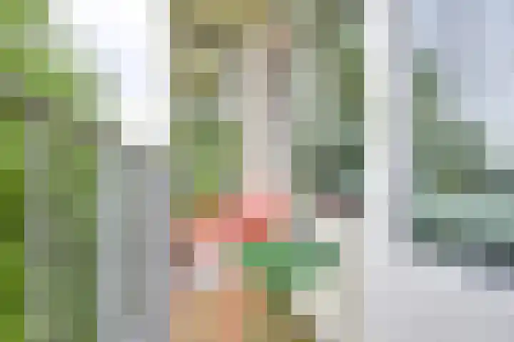 Rachmaninoffplantsoen 33 Utrecht thumbnail 17