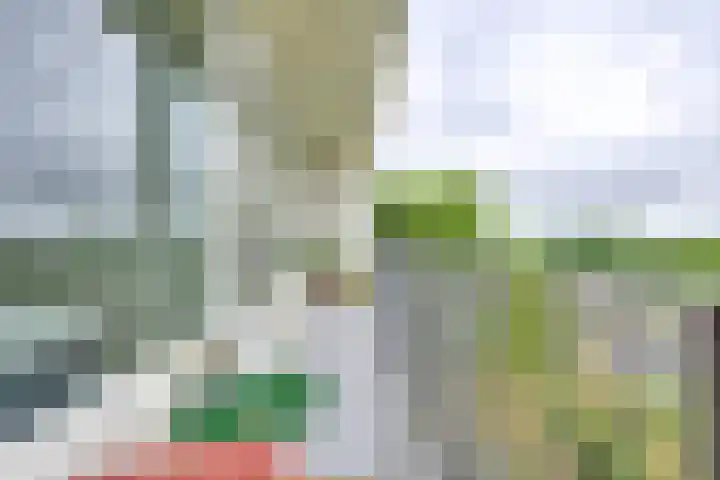 Rachmaninoffplantsoen 33 Utrecht thumbnail 18