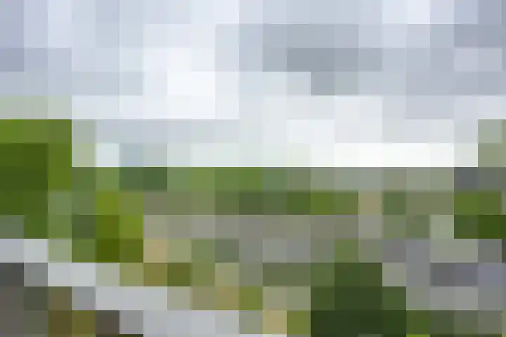 Rachmaninoffplantsoen 33 Utrecht thumbnail 19