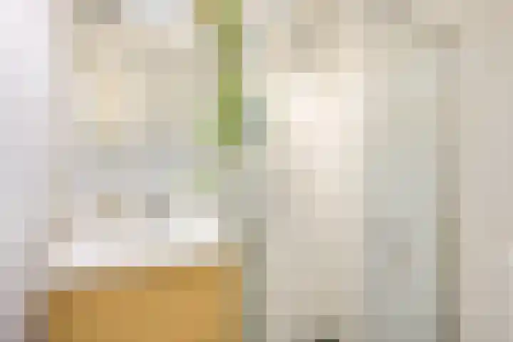 Rachmaninoffplantsoen 33 Utrecht thumbnail 24