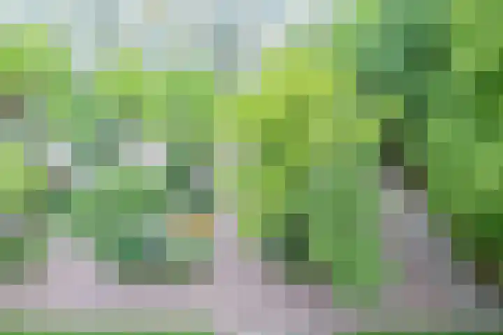 Rachmaninoffplantsoen 33 Utrecht thumbnail 25