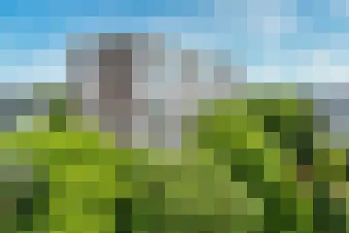 Rachmaninoffplantsoen 33 Utrecht thumbnail 26