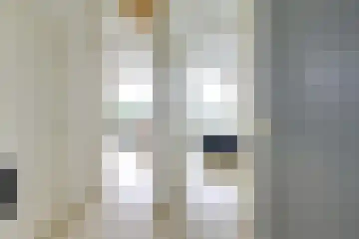 Rachmaninoffplantsoen 33 Utrecht thumbnail 5