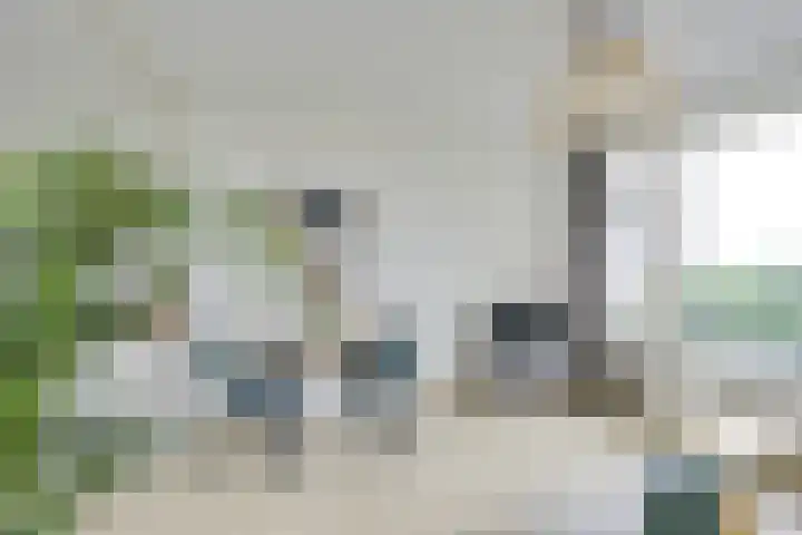Rachmaninoffplantsoen 33 Utrecht thumbnail 6