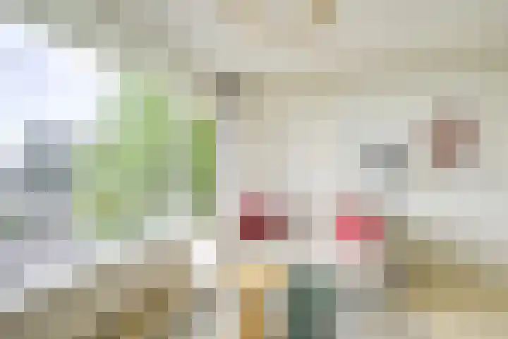 Rachmaninoffplantsoen 33 Utrecht thumbnail 8