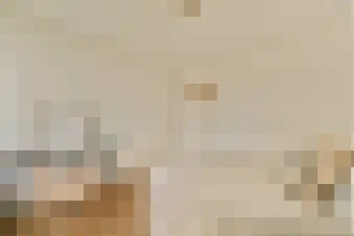 Rachmaninoffplantsoen 4 Utrecht thumbnail 10