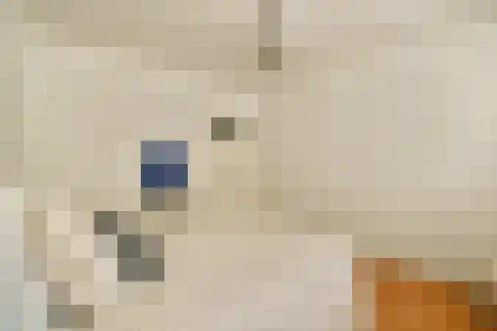Rachmaninoffplantsoen 4 Utrecht thumbnail 12