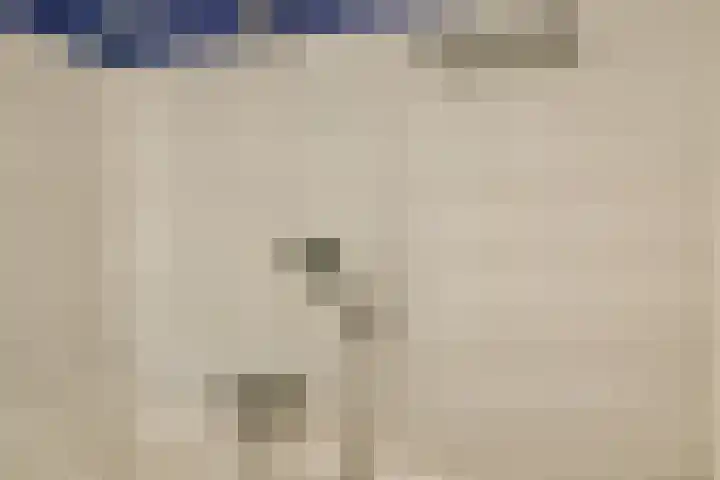 Rachmaninoffplantsoen 4 Utrecht thumbnail 15