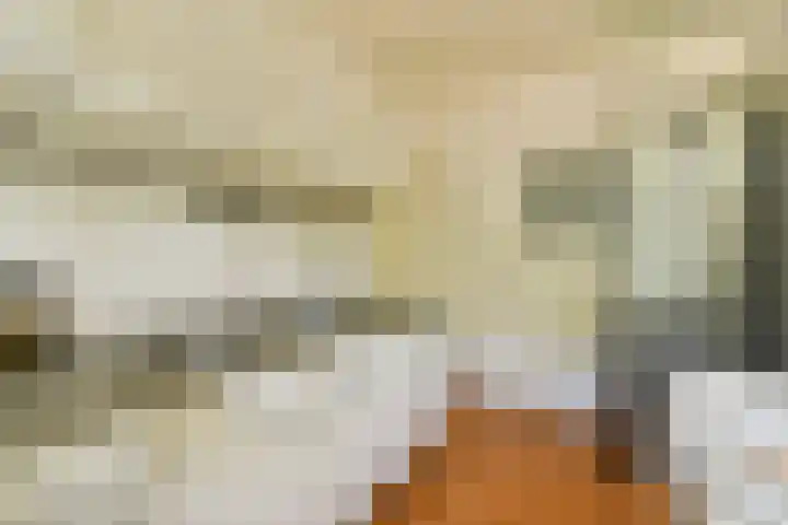 Rachmaninoffplantsoen 4 Utrecht thumbnail 16