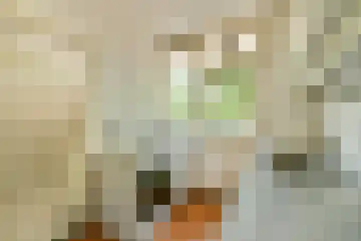 Rachmaninoffplantsoen 4 Utrecht thumbnail 17