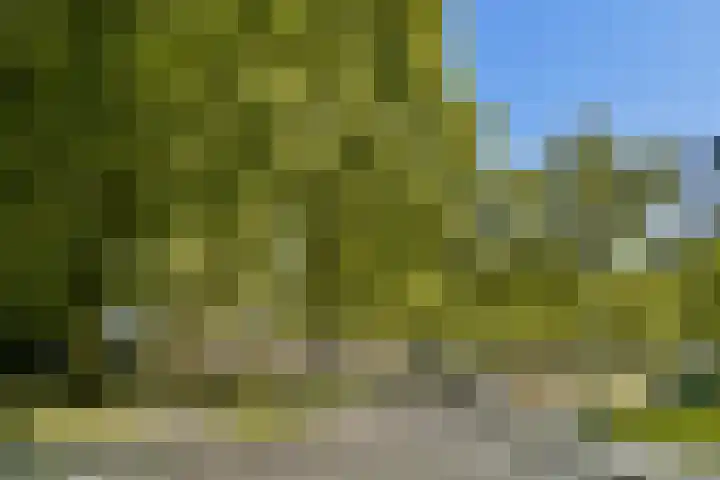 Rachmaninoffplantsoen 4 Utrecht thumbnail 20
