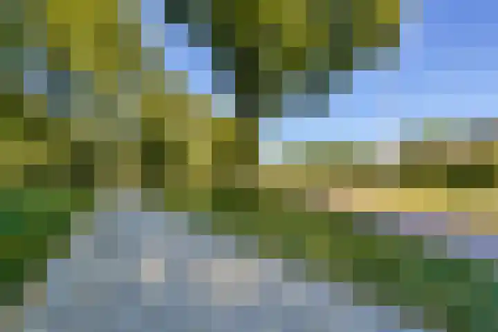 Rachmaninoffplantsoen 4 Utrecht thumbnail 22
