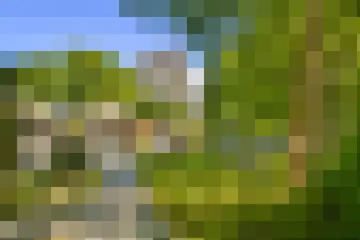 Rachmaninoffplantsoen 4 Utrecht thumbnail 23