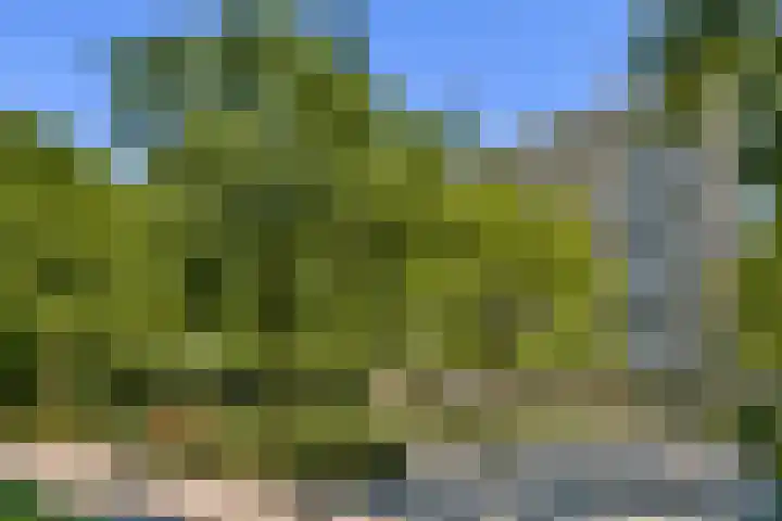 Rachmaninoffplantsoen 4 Utrecht thumbnail 24