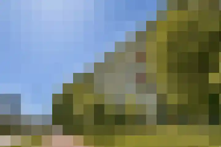 Rachmaninoffplantsoen 4 Utrecht thumbnail 25