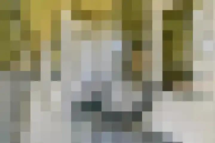 Rachmaninoffplantsoen 4 Utrecht thumbnail 4