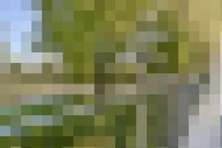 Rachmaninoffplantsoen 4 Utrecht thumbnail 5