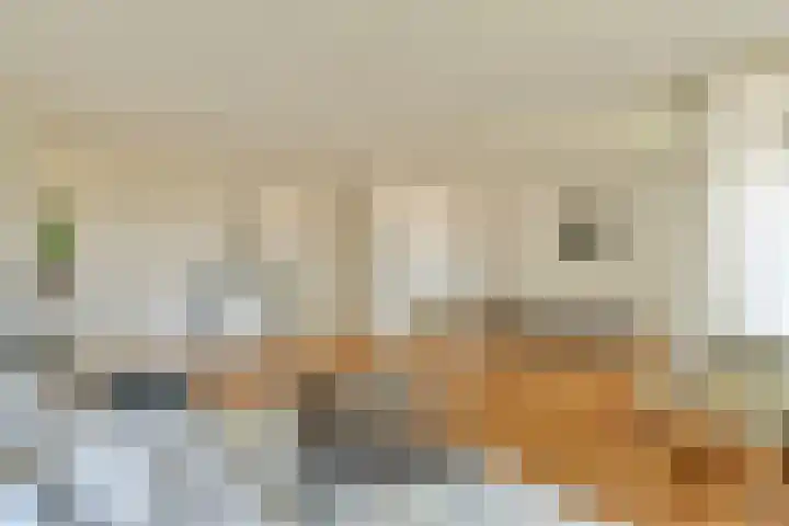 Rachmaninoffplantsoen 4 Utrecht thumbnail 7