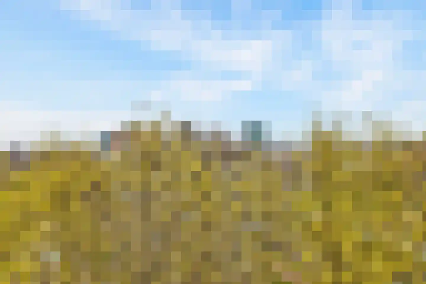 Rachmaninoffplantsoen 41 Utrecht thumbnail 14