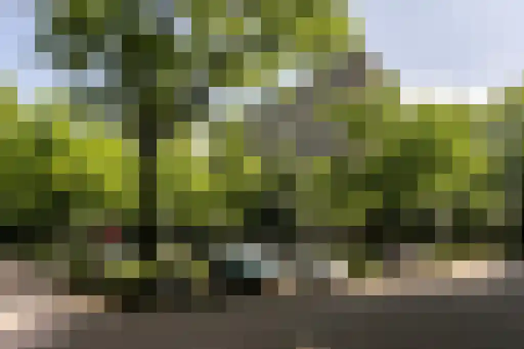 Rachmaninoffplantsoen 41 Utrecht thumbnail 25