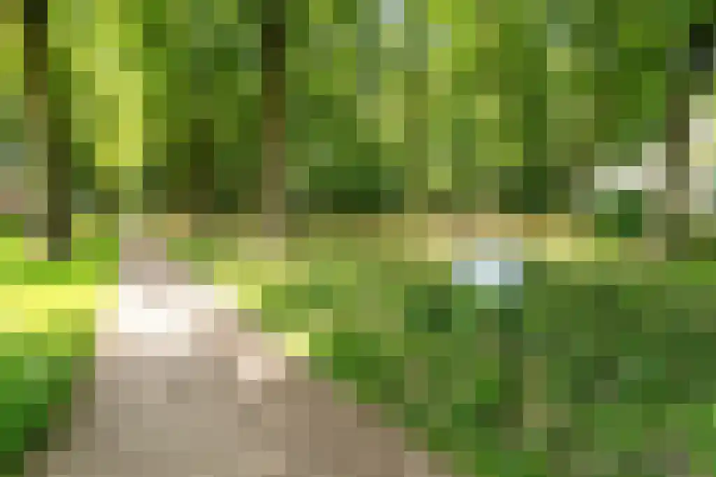 Rachmaninoffplantsoen 41 Utrecht thumbnail 26
