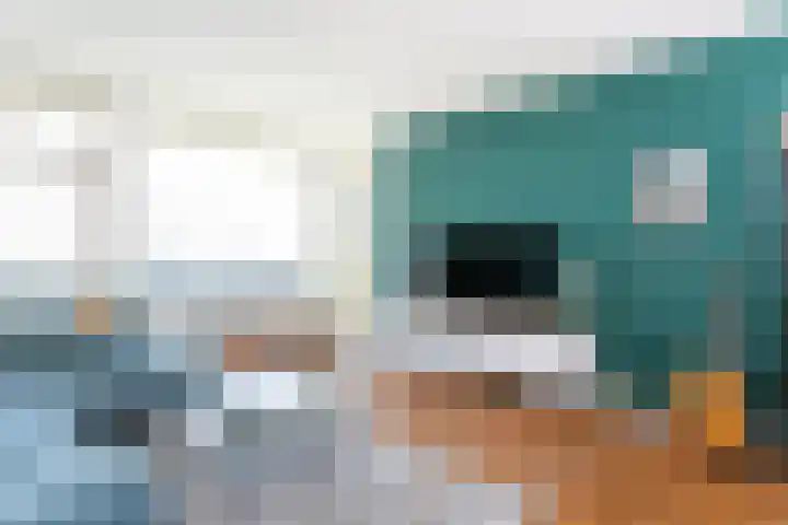 Rachmaninoffplantsoen 57 Utrecht thumbnail 10