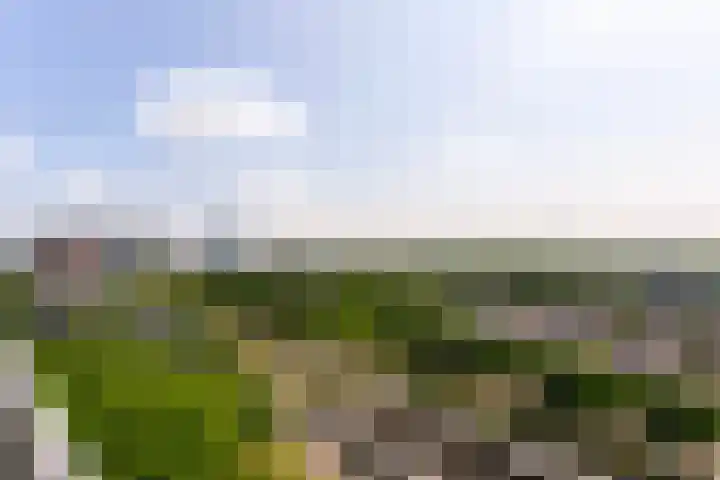 Rachmaninoffplantsoen 57 Utrecht thumbnail 14