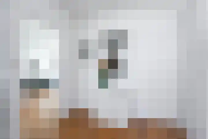 Rachmaninoffplantsoen 57 Utrecht thumbnail 19