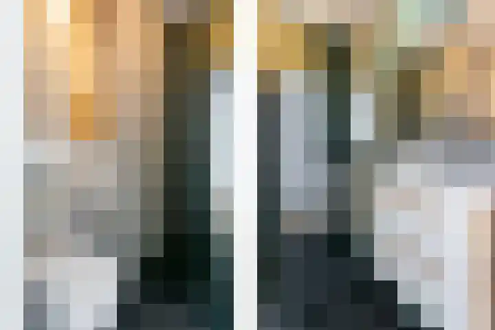 Rachmaninoffplantsoen 57 Utrecht thumbnail 23