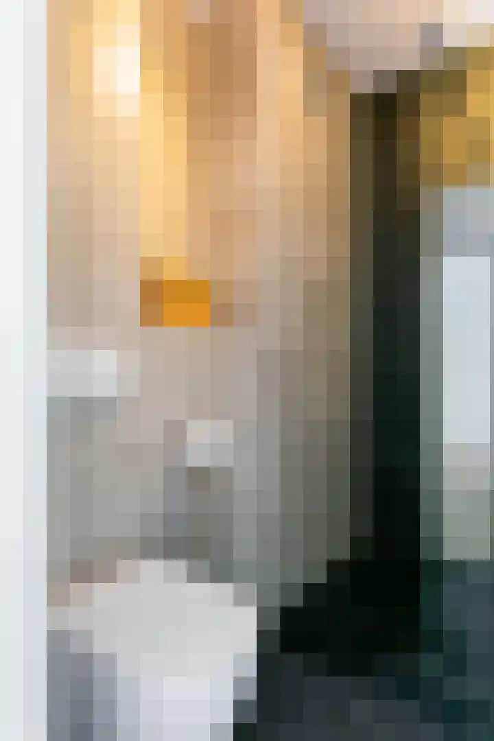 Rachmaninoffplantsoen 57 Utrecht thumbnail 24