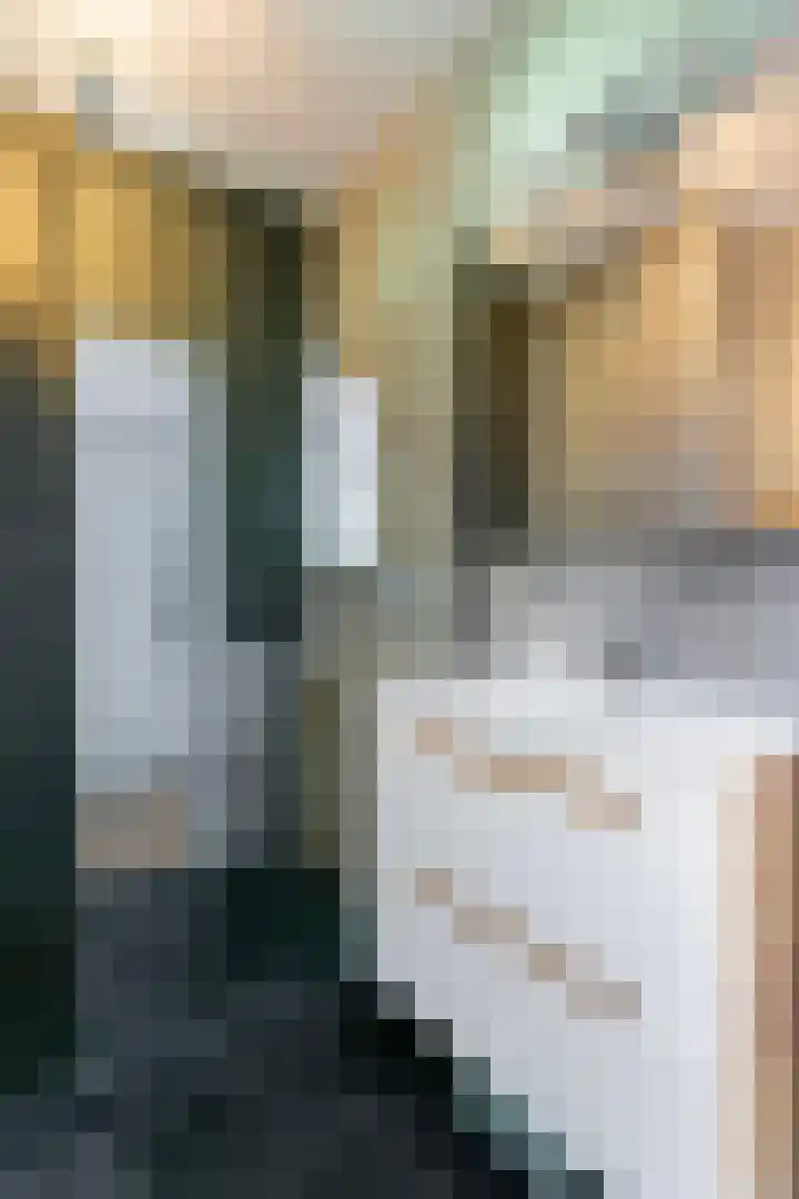 Rachmaninoffplantsoen 57 Utrecht thumbnail 25