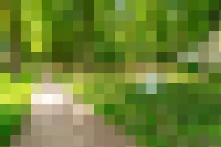 Rachmaninoffplantsoen 57 Utrecht thumbnail 27
