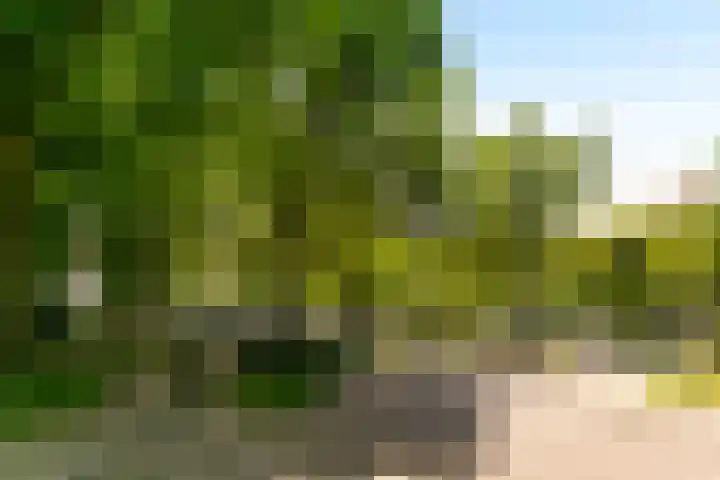 Rachmaninoffplantsoen 57 Utrecht thumbnail 28