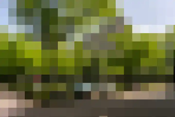 Rachmaninoffplantsoen 57 Utrecht thumbnail 29