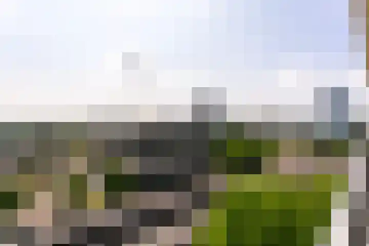Rachmaninoffplantsoen 57 Utrecht thumbnail 30